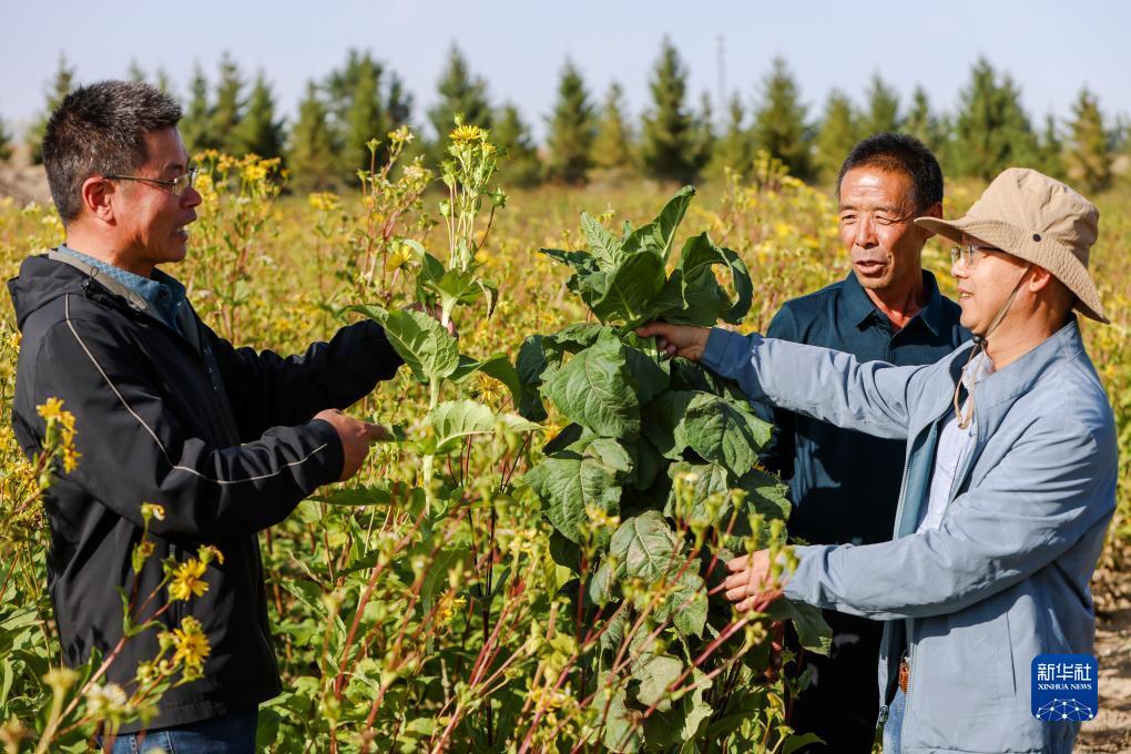 线上游戏娱乐